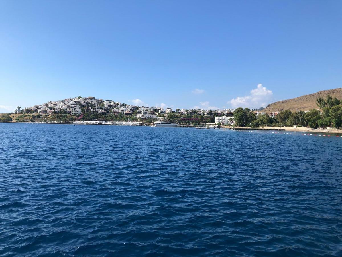 Bankev Sitesi Kargi Koyu Ilginlar Plaji Villa *